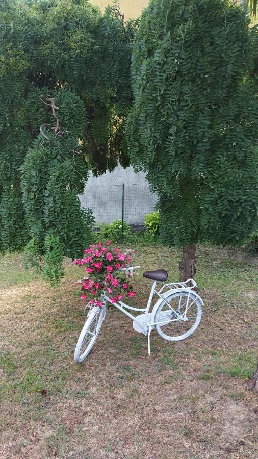 Casa Dell'Agrifoglio Hotel Caselette ภายนอก รูปภาพ